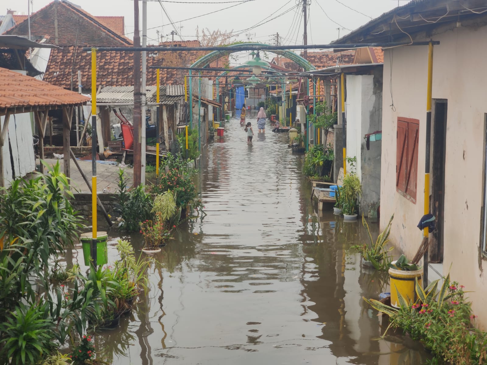 Diguyur Hujan, Sebagian Wilayah Kota Pekalongan Banjir